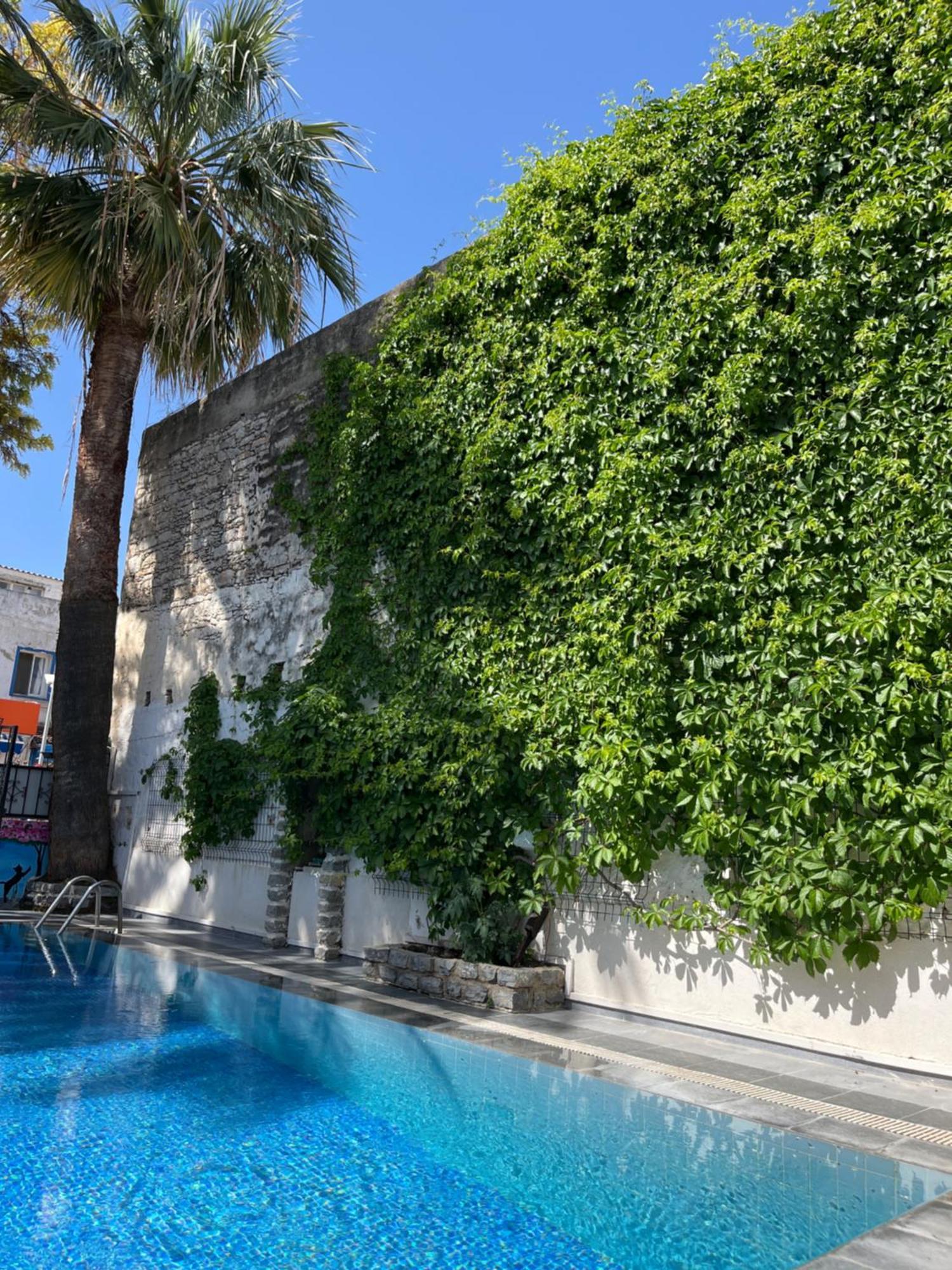 Kilavuz Otel بودروم المظهر الخارجي الصورة